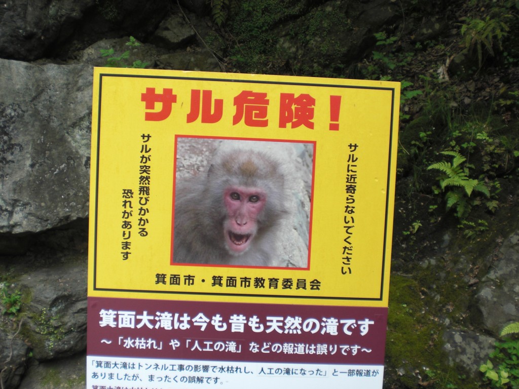 箕面大滝前で、ニホンザルにお弁当をひったくられた被害がありました