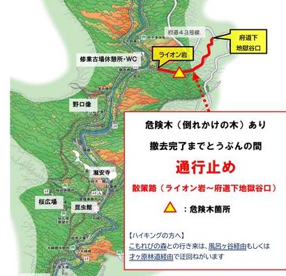 府営箕面公園散策路 地獄谷ライオン岩 から府道下 地獄谷口 の間で危険木があり通行止めになっています 倒木 落石 崩落などに十分注意してください みのお山なみネット 箕面の山麓保全活動情報のポータルサイト みんなで守ろう 箕面のみどり 四季折々に